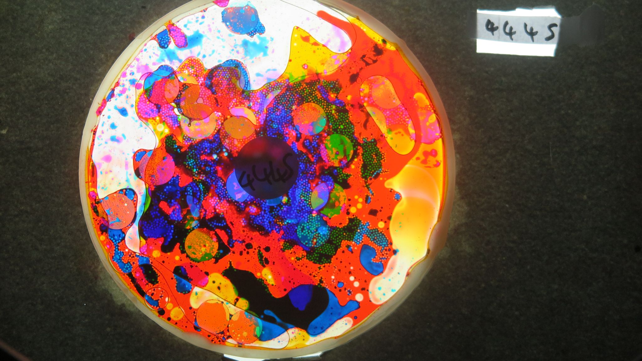 BV4445 bubble vision oil wheel